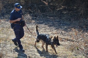 Cani molecolari Polizia di Stato