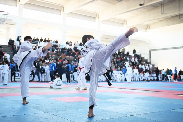 Taekwon-Do Itf
