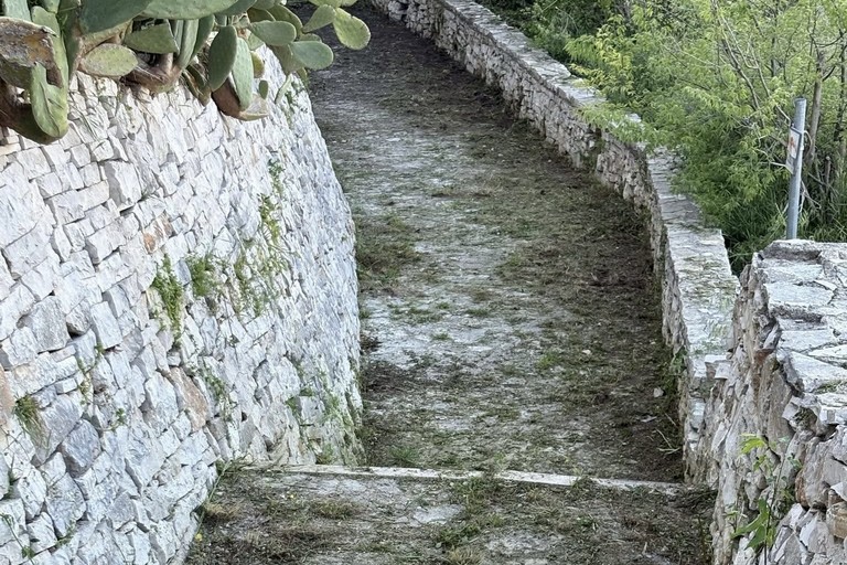 I volontari Lav ripuliscono il sentiero di Lama Matitani a Minervino