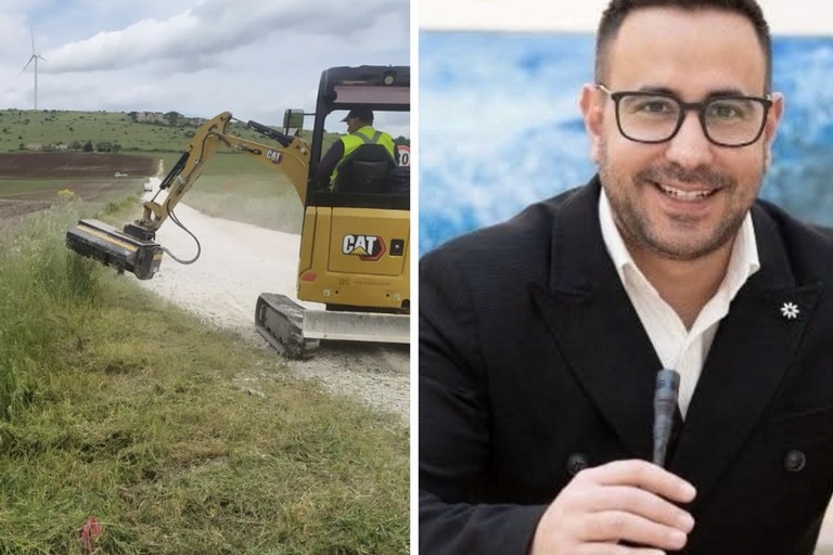 “Il Comune di Minervino seguirà con attenzione il piano d'azione per il contrasto alla diffusione della Xylella”